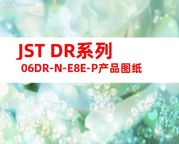 JST DR系列 06DR-N-E8E-P产品图纸
